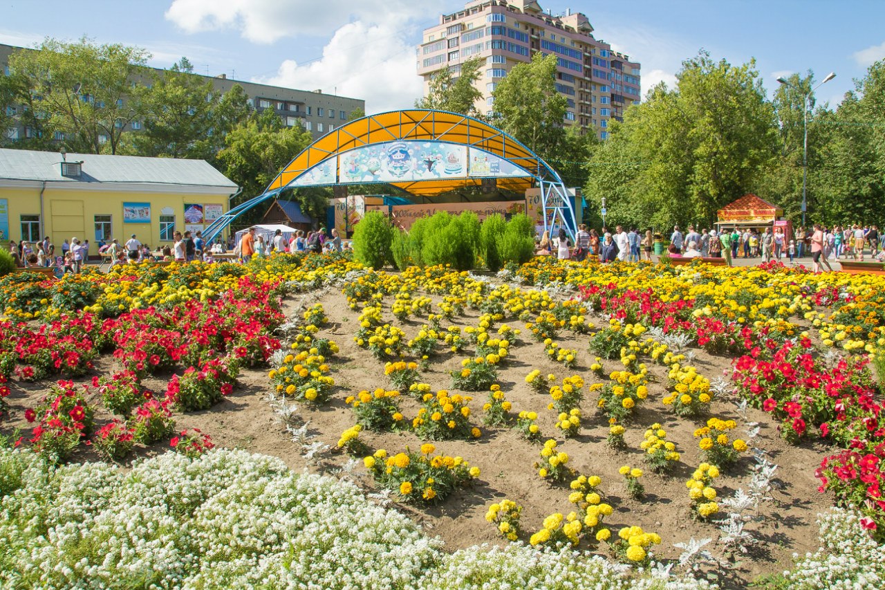 Парка Новосибирск Где Купить