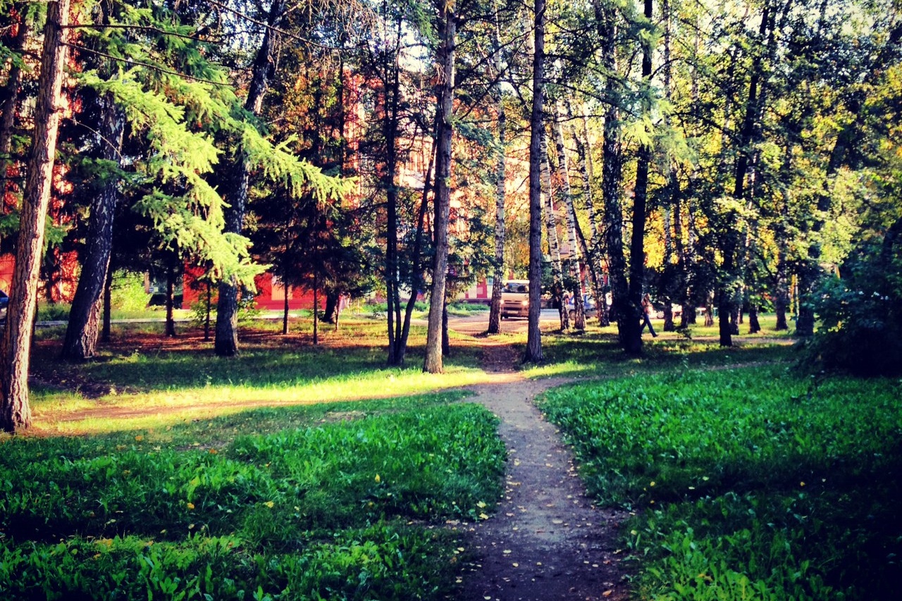 парк в академгородке